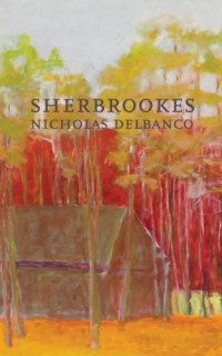 Sherbrookes-Possession-Sherbrookes-Stillness-American-Literature-Series-0